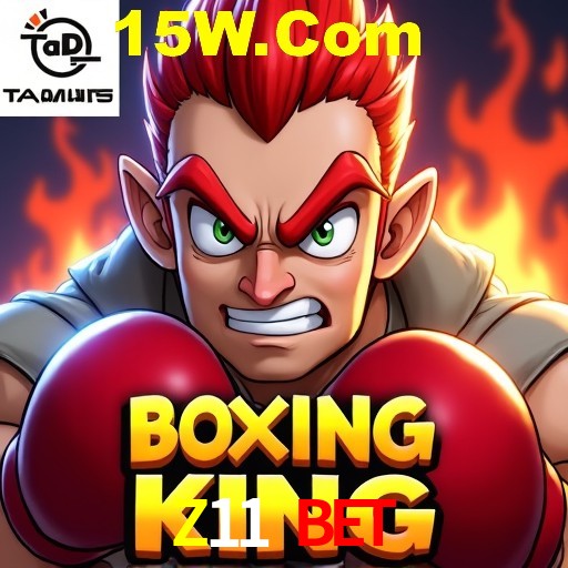 2FA Security Z11 Bet